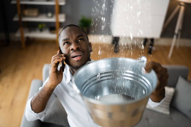 Best Water damage restoration insurance claims  in Wink, TX