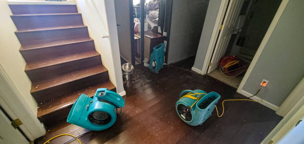 Best Emergency water damage restoration  in Wink, TX