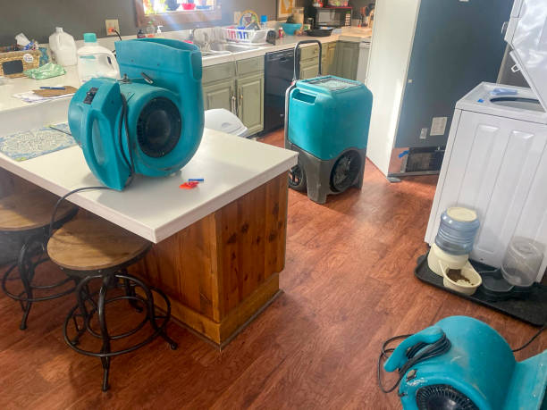 Best Water damage restoration near me  in Wink, TX