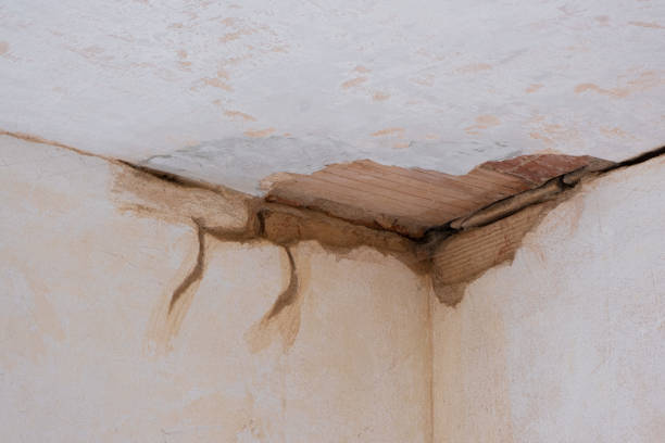 Best Sewage cleanup and water damage restoration  in Wink, TX