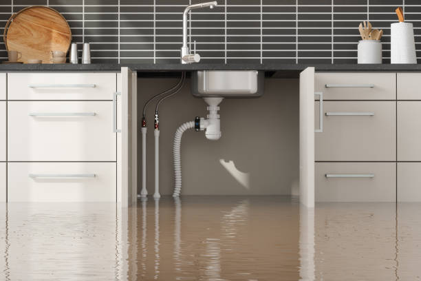 Best Water damage contractors near me  in Wink, TX