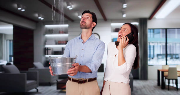 Best 24/7 water damage repair  in Wink, TX