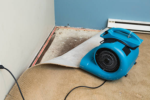 Best Water damage restoration cost  in Wink, TX